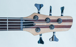 Protone